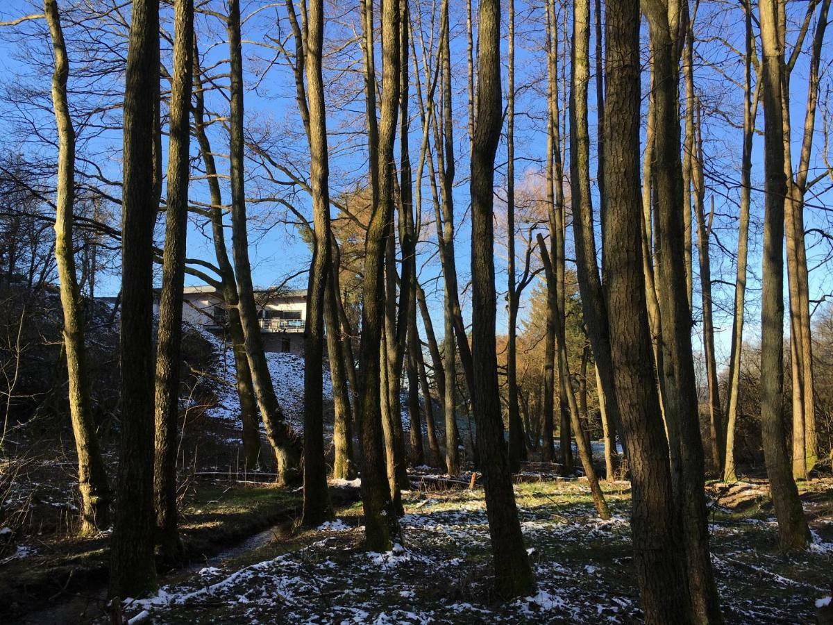 Haagalm Terrasse, Garten Nonnweiler Εξωτερικό φωτογραφία
