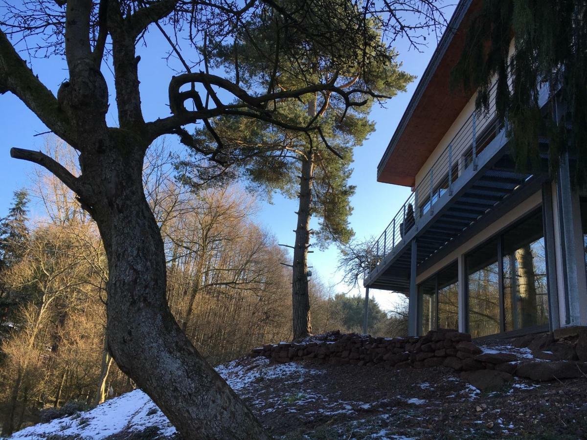 Haagalm Terrasse, Garten Nonnweiler Εξωτερικό φωτογραφία