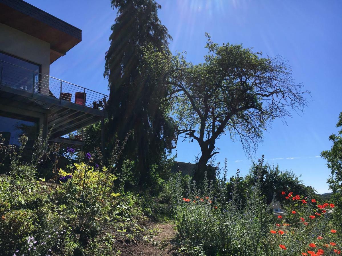 Haagalm Terrasse, Garten Nonnweiler Εξωτερικό φωτογραφία